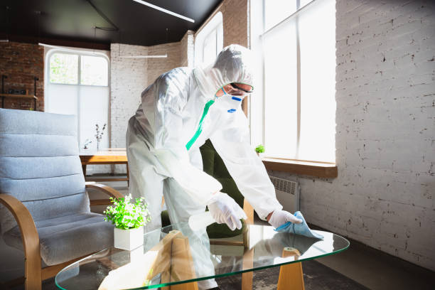 Professional Mold Removal Services in Kalkaska, MI